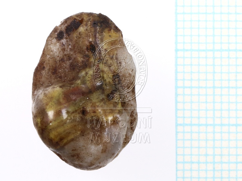 H1-64692_pred (2).JPG H1-64692_pred (2).JPG