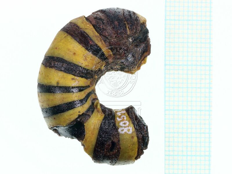 H1-80514 (1).JPG H1-80514 (1).JPG