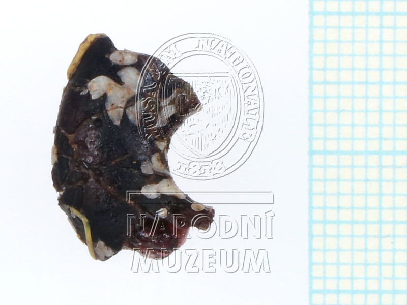 IMG_0566.JPG IMG_0566.JPG