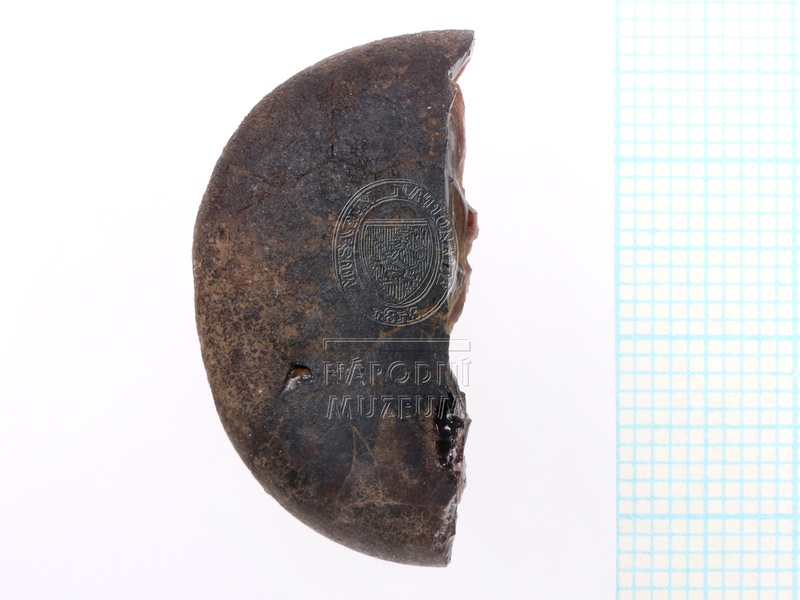 H1-64689_pred (1).JPG H1-64689_pred (1).JPG