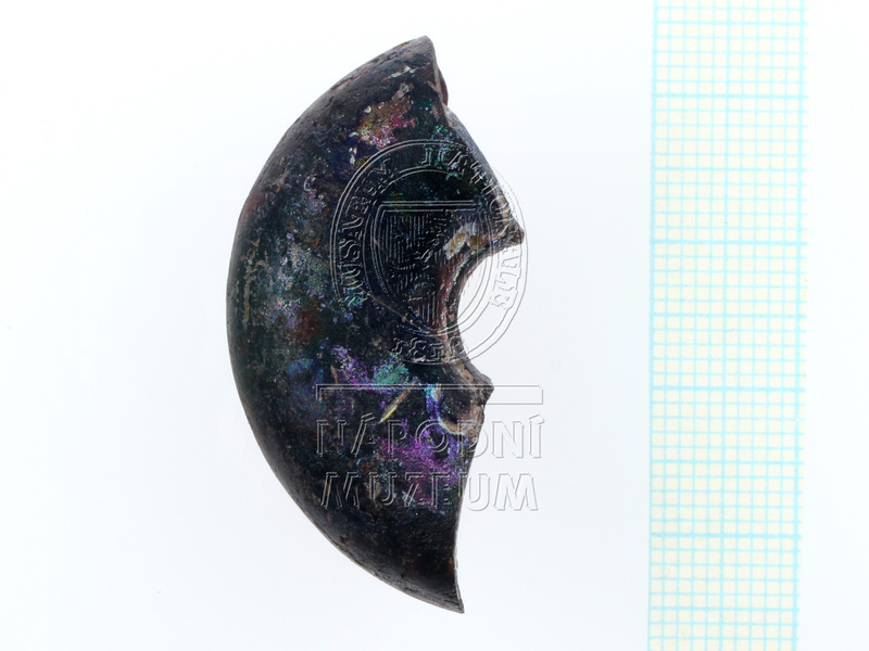 H1-80579 (1).JPG H1-80579 (1).JPG