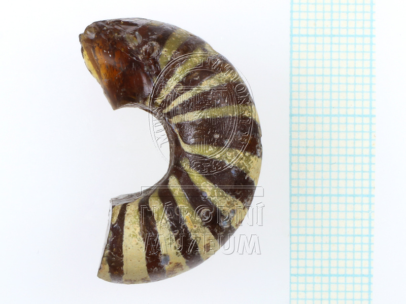 H1-80542 (1).JPG H1-80542 (1).JPG