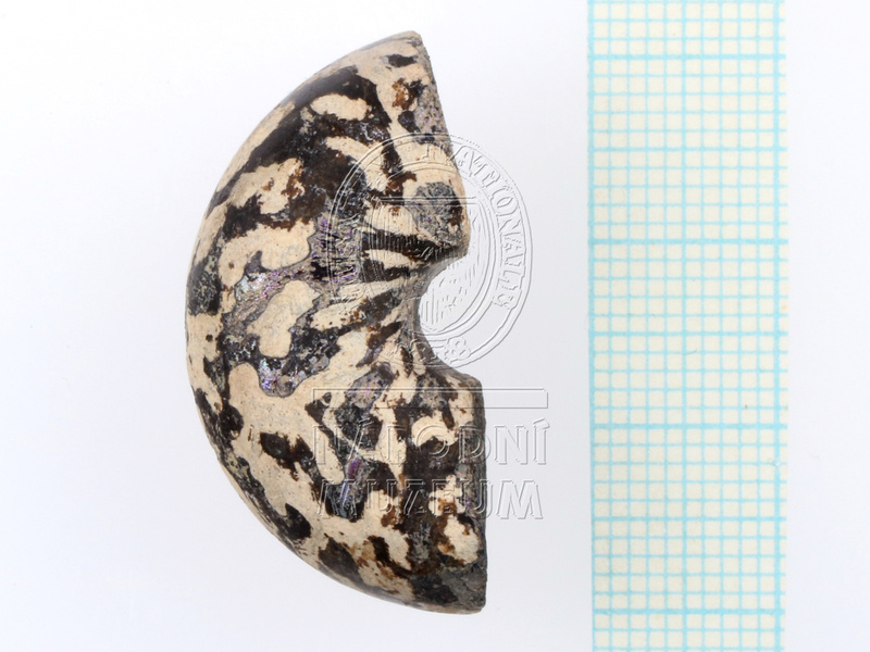 H1-80591 (1).JPG H1-80591 (1).JPG