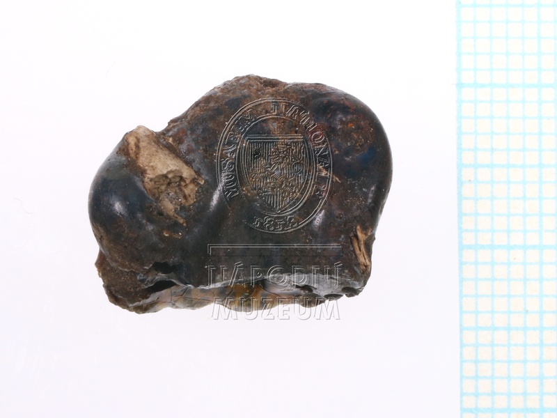 H1-64716_A_pred (2).JPG H1-64716_A_pred (2).JPG