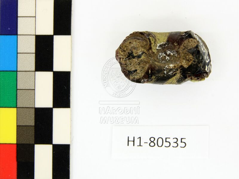 H1-80535 (1).JPG H1-80535 (1).JPG