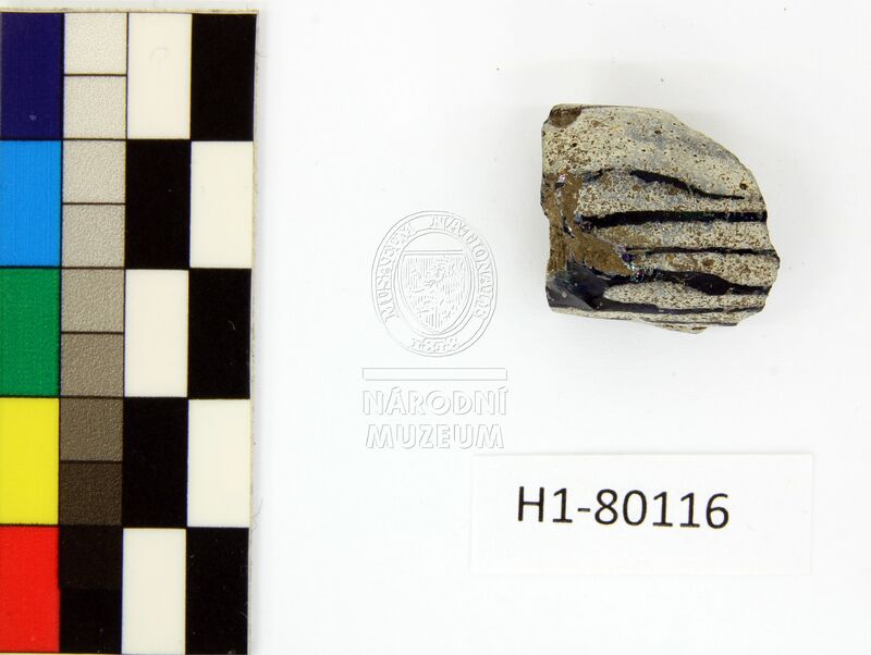 H1-80116 (1).JPG H1-80116 (1).JPG