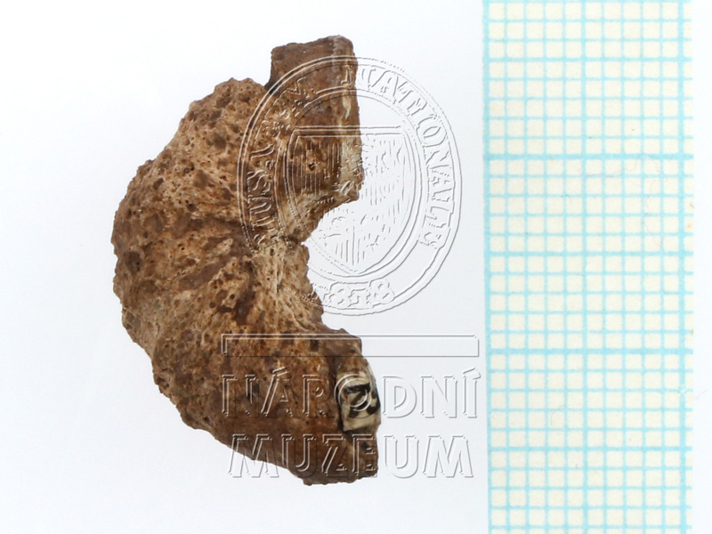 H1-80762 (1).JPG H1-80762 (1).JPG