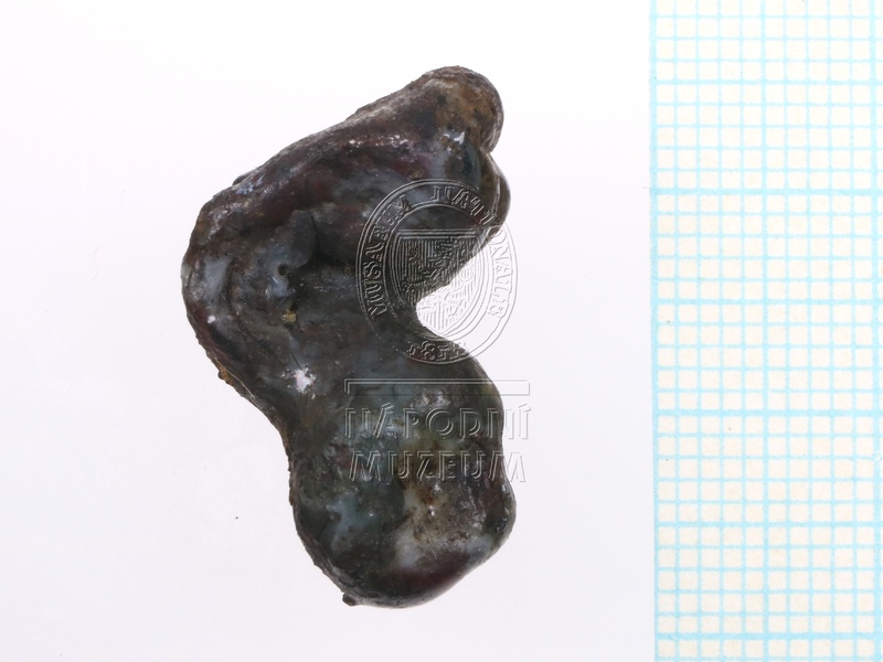 H1-64716_B_pred (1).JPG H1-64716_B_pred (1).JPG