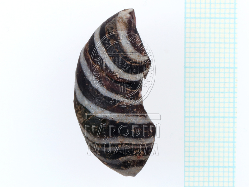 H1-80050 (1).JPG H1-80050 (1).JPG