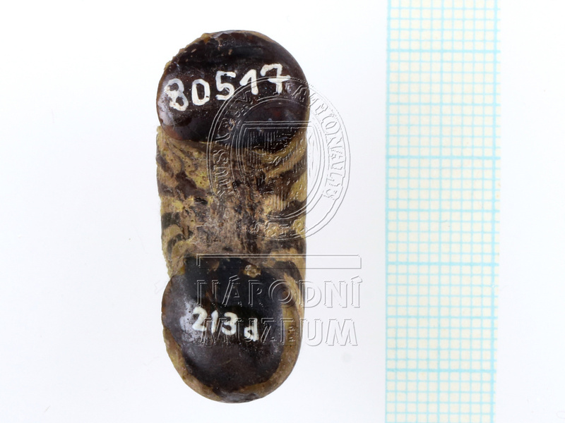 H1-80517 (1).JPG H1-80517 (1).JPG