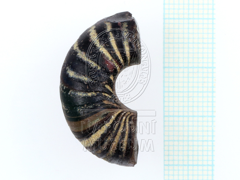 H1-80522 (1).JPG H1-80522 (1).JPG