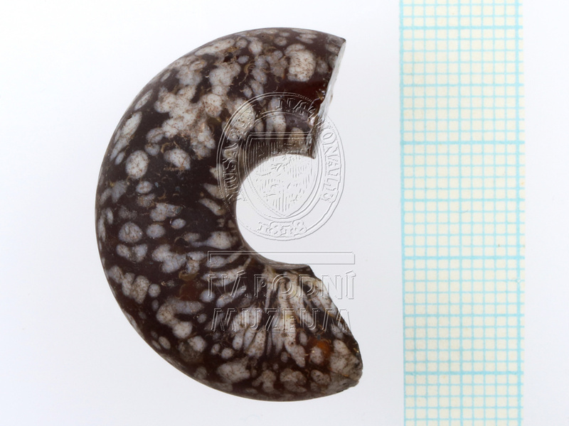 H1-80593 (1).JPG H1-80593 (1).JPG