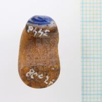 H1_80627 (4).JPG H1_80627 (4).JPG