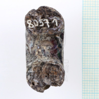 H1-80571 (4).JPG H1-80571 (4).JPG