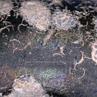 H1-80600_om (1).jpg H1-80600_om (1).jpg