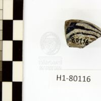 H1-80116 (3).JPG H1-80116 (3).JPG