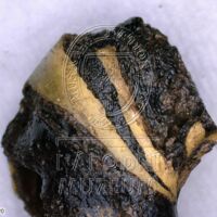 H1-80514_om (2).jpg H1-80514_om (2).jpg