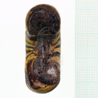 H1-80514 (4).JPG H1-80514 (4).JPG