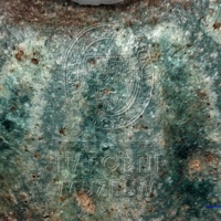 H1-64670_mikro (1).jpg H1-64670_mikro (1).jpg