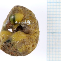 H1-64674_po (1).JPG H1-64674_po (1).JPG