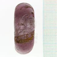 H1-80544 (3).JPG H1-80544 (3).JPG