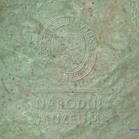 H1-64687_mikro (1).jpg H1-64687_mikro (1).jpg