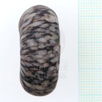 H1-80592 (3).JPG H1-80592 (3).JPG