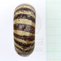 H1-80542 (4).JPG H1-80542 (4).JPG