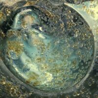 H2-105421 nálep, koroze (0,8x).jpg H2-105421 nálep, koroze (0,8x).jpg