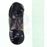 H1-80053 (4).JPG H1-80053 (4).JPG