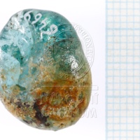 H1-64697_po (1).JPG H1-64697_po (1).JPG