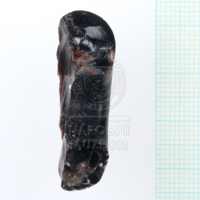 H1-80589 (4).JPG H1-80589 (4).JPG