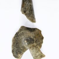 H2-105448 (1).JPG H2-105448 (1).JPG