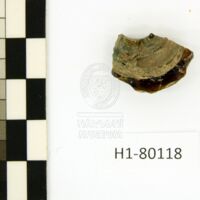 H1-80118 (2).JPG H1-80118 (2).JPG