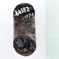 H1-80592 (4).JPG H1-80592 (4).JPG