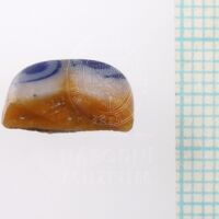 H1_57014 (3).JPG H1_57014 (3).JPG