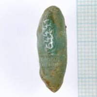 H1- 64441_po (3).jpg H1- 64441_po (3).jpg