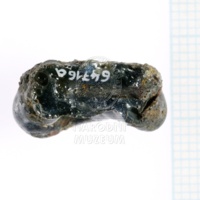 H1-64716_a_po (4).JPG H1-64716_a_po (4).JPG