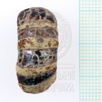 H180551 (3).jpg H180551 (3).jpg