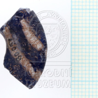 H1-80057 (3).JPG H1-80057 (3).JPG