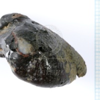 H1-64712_po  (5).JPG H1-64712_po  (5).JPG