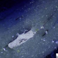 H1-80715_om (2).jpg H1-80715_om (2).jpg