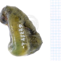 H1-64714_i_po (5).JPG H1-64714_i_po (5).JPG