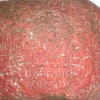 H1-64676_mikro.jpg H1-64676_mikro.jpg