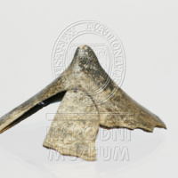 H2-105448 po restaurování.jpg H2-105448 po restaurování.jpg