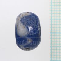 H1_57008 (4).JPG H1_57008 (4).JPG