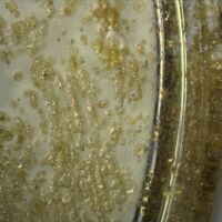 H2-105404 důlková koroze (1x).jpg H2-105404 důlková koroze (1x).jpg