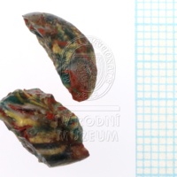 H1-65953_pred (2).JPG H1-65953_pred (2).JPG