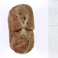 H1-64667_po (5).JPG H1-64667_po (5).JPG