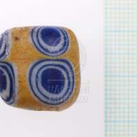 H1_45196 (3).JPG H1_45196 (3).JPG